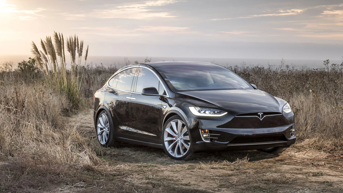 Model X