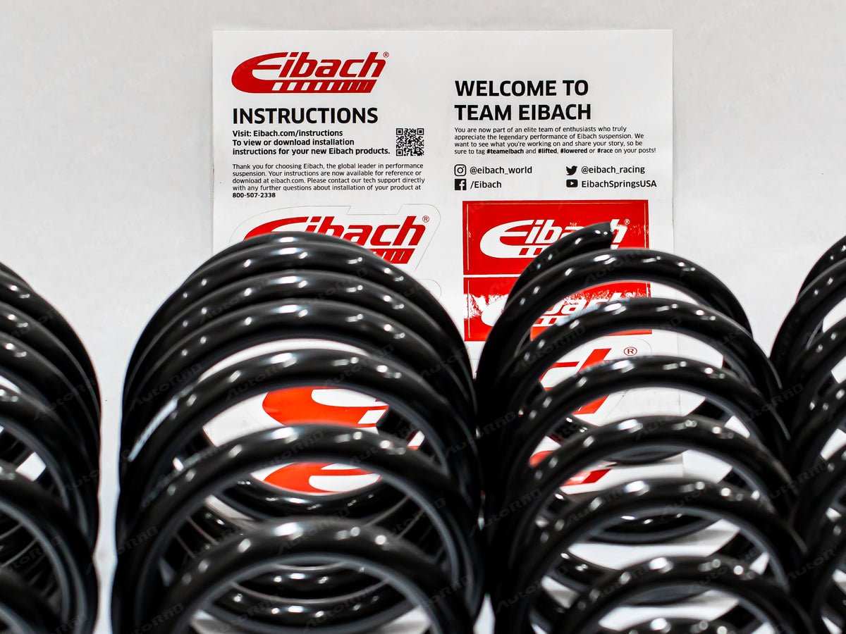 ZEV Eibach Lowering Springs - 2018 - 23 Model 3