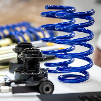2024+ Performance Model 3 LEVELING SPRING KIT:  REAR ONLY