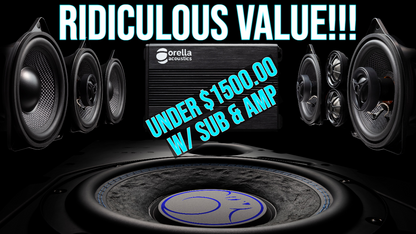 Orella Audio Install Model 3 / Y