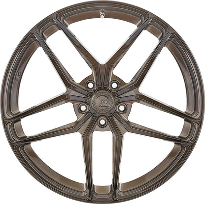 BC Forged RZ22 Monoblock (Pair)