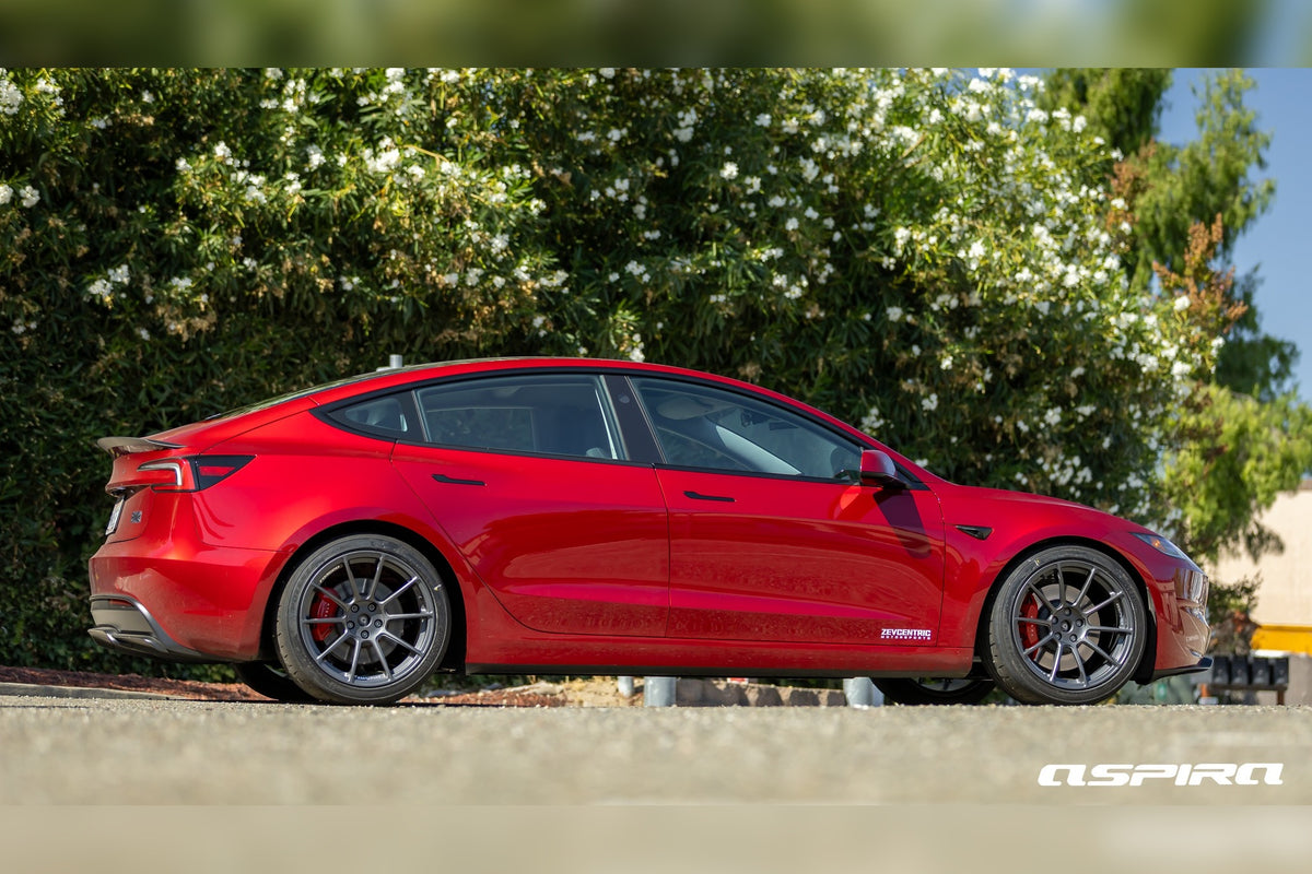 Fae’s Model 3 Performance — gallery image 1