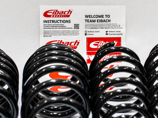 ZEV Eibach Lowering Springs - 2018 - 23 Model 3
